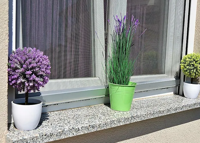 Nicol Appartement Pula