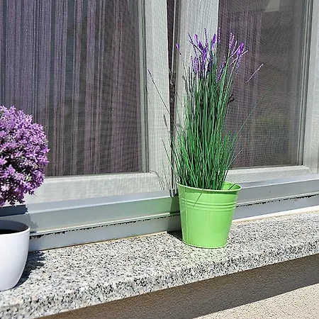 Nicol Апартаменты Пула